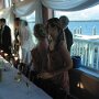IMG_0358